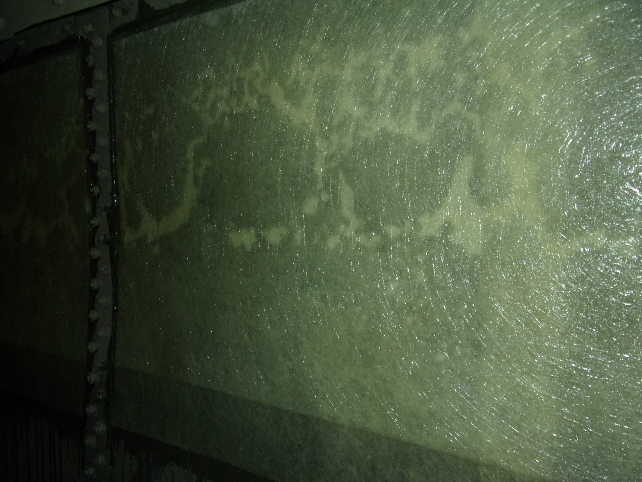 Tank Lining 01