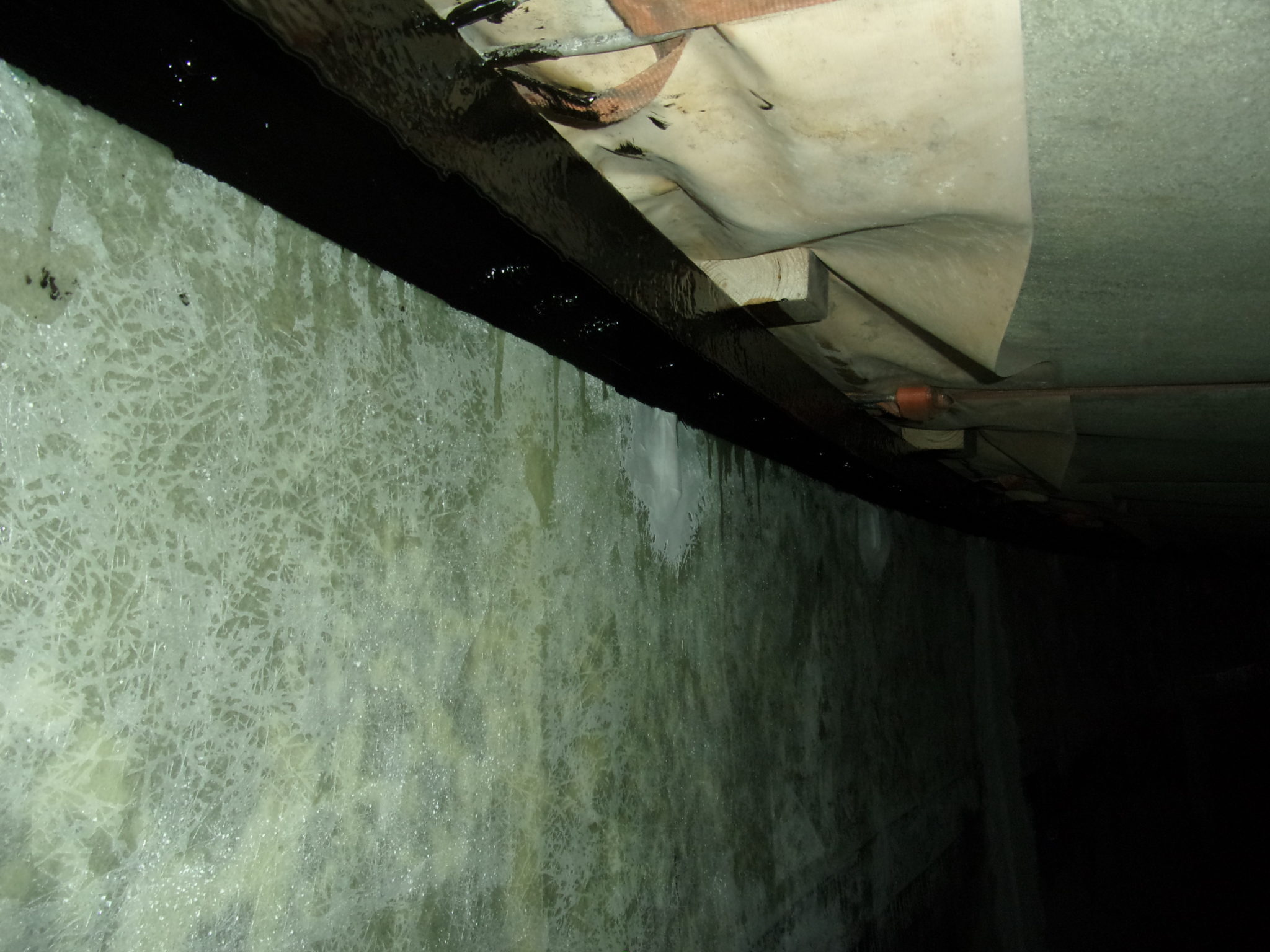 Tank Lining 09