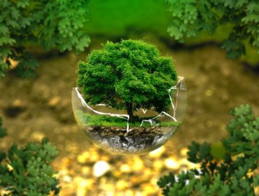 Environmental Protection